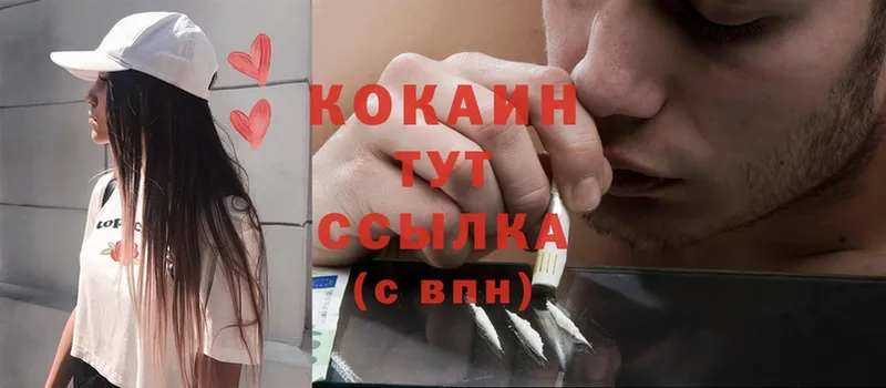 закладки  Камбарка  Cocaine Боливия 